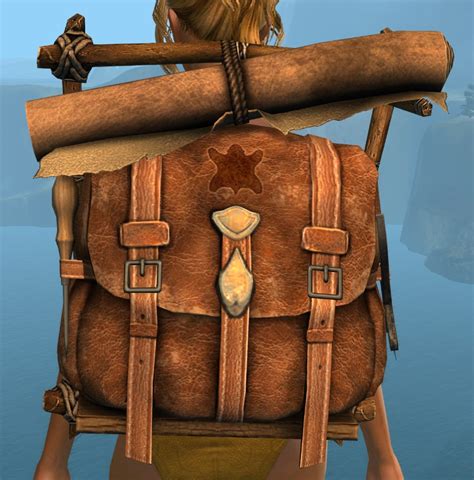 guild wars 2 backpacks.